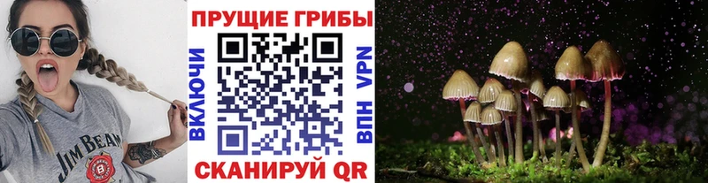 это наркотические препараты  Княгинино  Псилоцибиновые грибы Cubensis 
